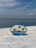 Acquario con pesci colorati in autentico vetro di Murano
