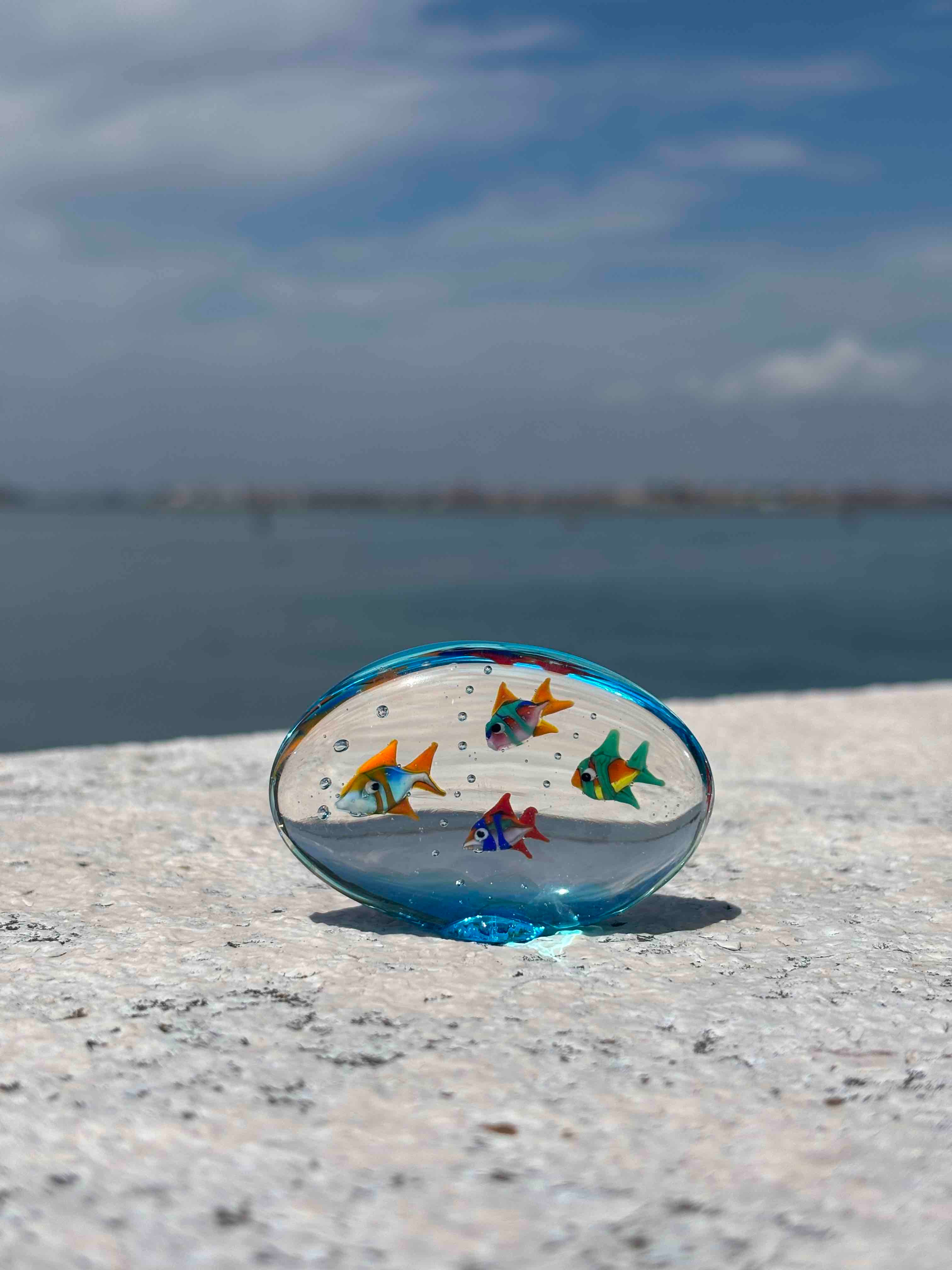 Acquario con pesci colorati in autentico vetro di Murano