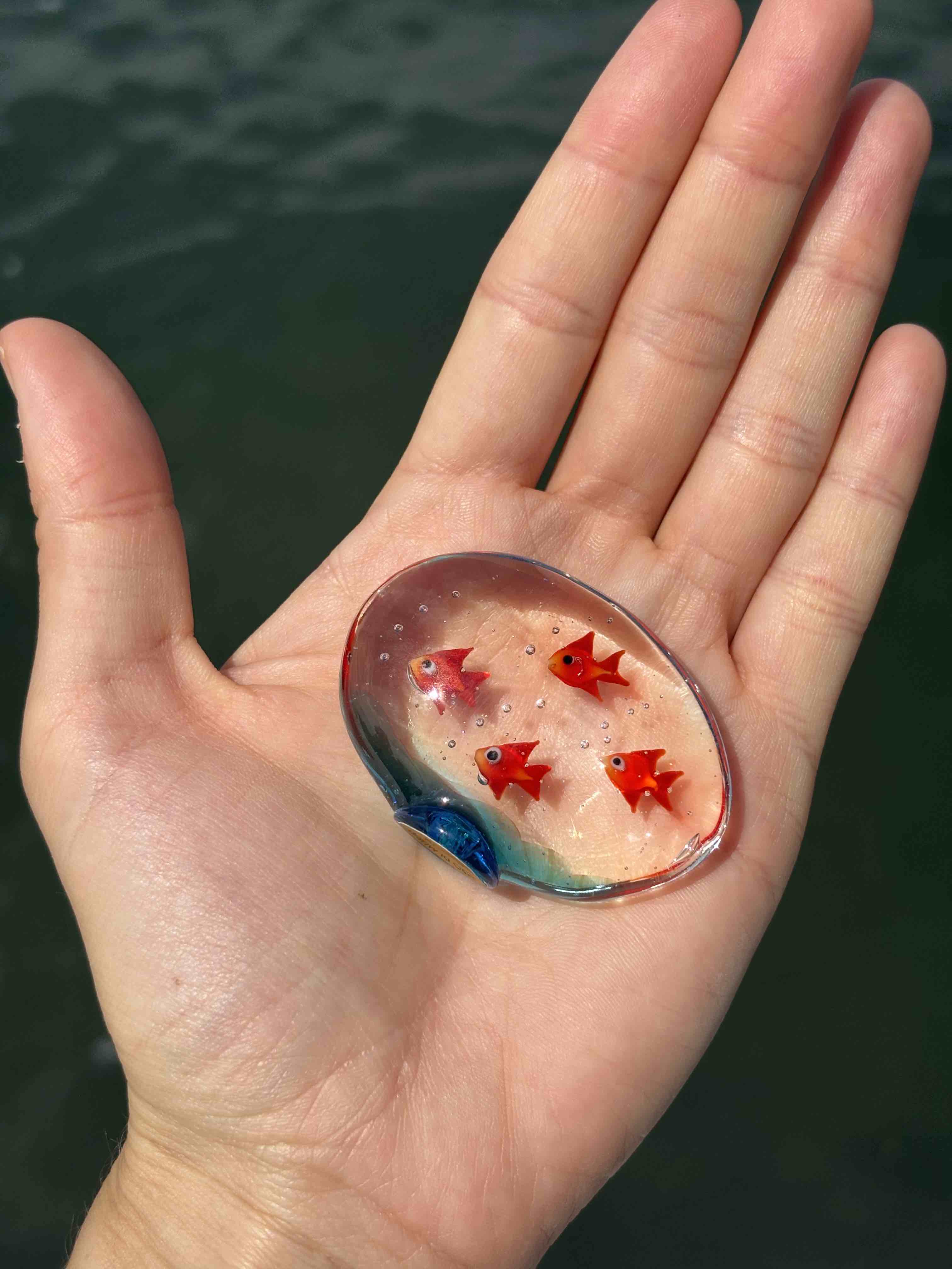 Acquario con pesci rossi in autentico vetro di Murano