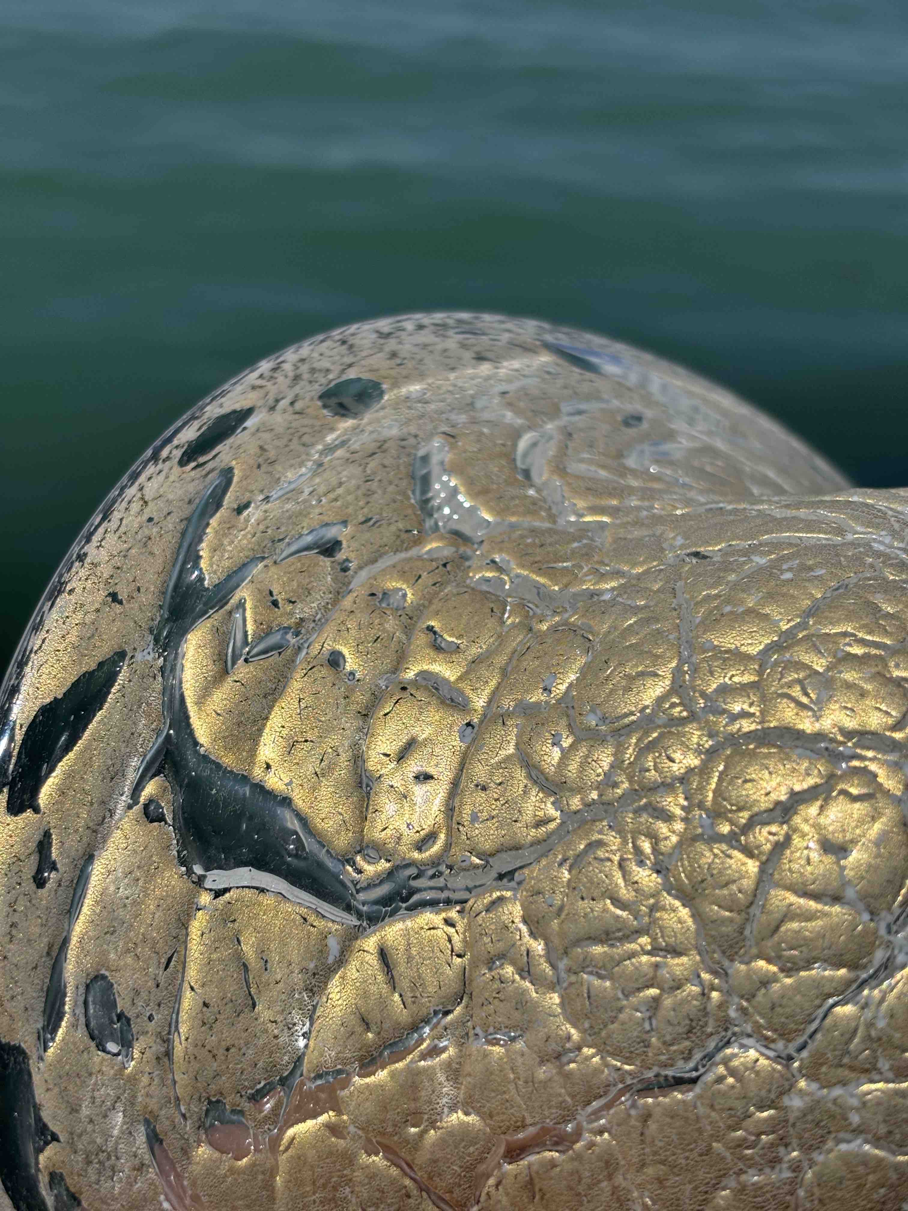 Ciotola in autentico vetro di Murano bianco e oro