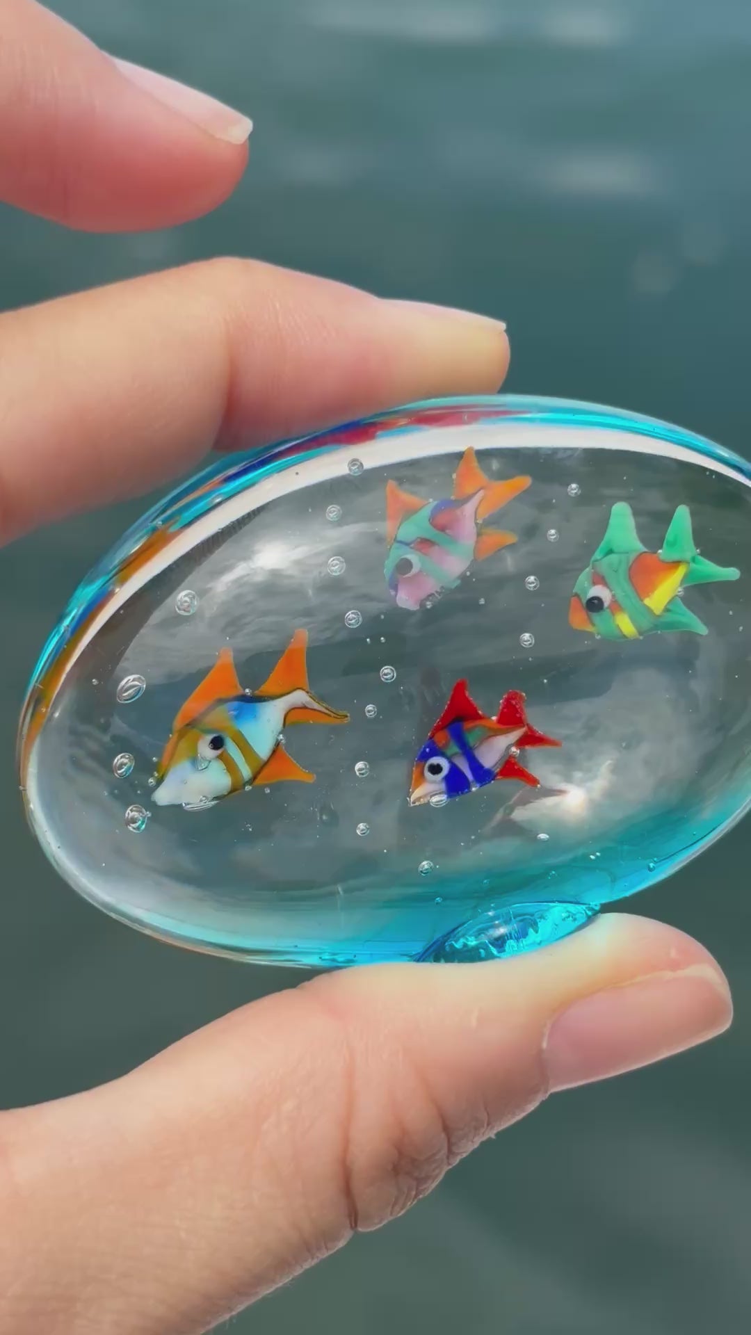 Acquario con pesci colorati in autentico vetro di Murano